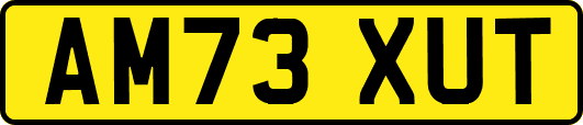 AM73XUT