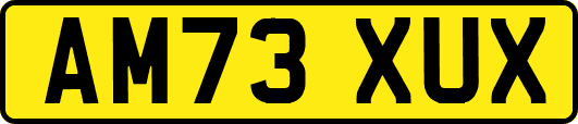AM73XUX