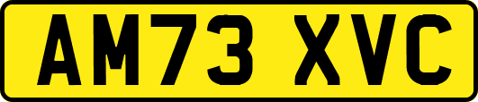 AM73XVC