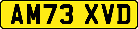 AM73XVD