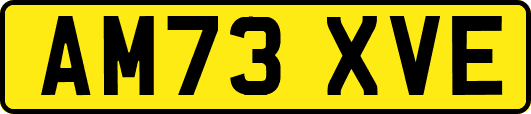AM73XVE