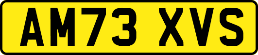 AM73XVS