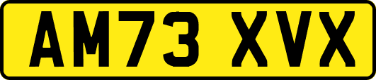 AM73XVX