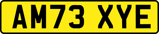 AM73XYE