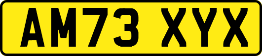 AM73XYX