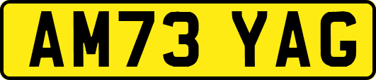 AM73YAG