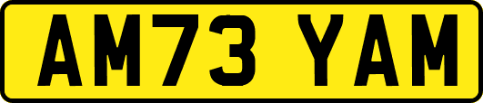 AM73YAM