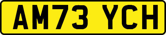 AM73YCH