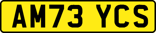 AM73YCS