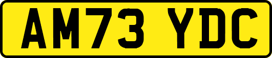 AM73YDC