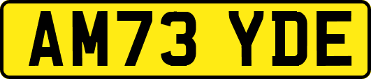 AM73YDE