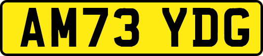 AM73YDG