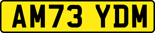 AM73YDM