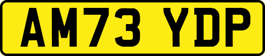 AM73YDP
