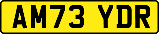AM73YDR