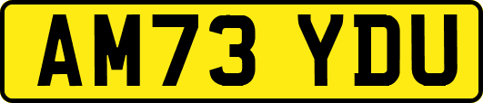AM73YDU