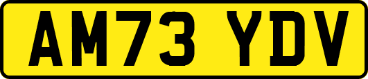 AM73YDV