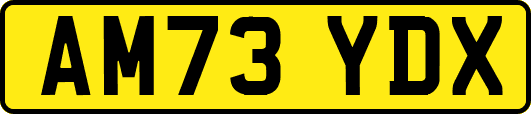 AM73YDX