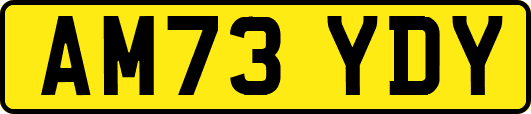 AM73YDY