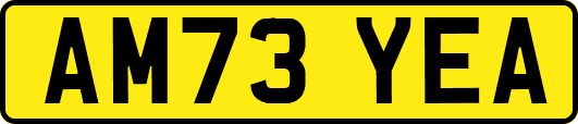 AM73YEA