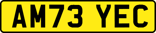 AM73YEC
