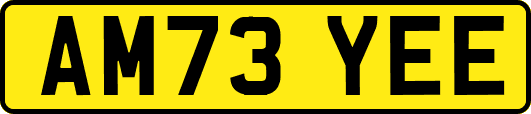 AM73YEE