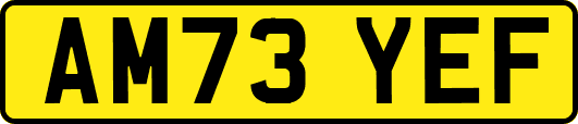 AM73YEF
