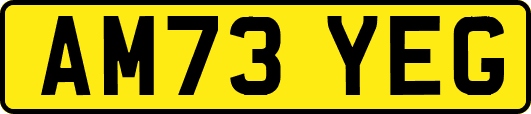 AM73YEG