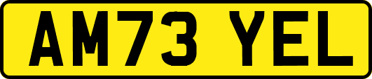 AM73YEL