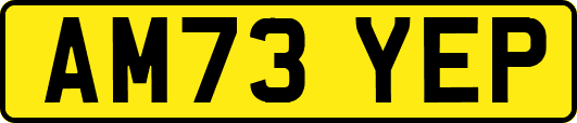 AM73YEP