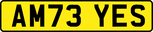AM73YES