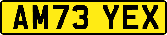 AM73YEX