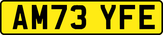 AM73YFE