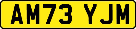 AM73YJM