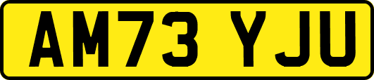 AM73YJU