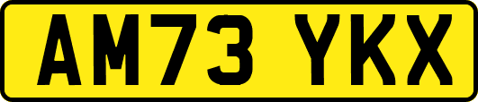 AM73YKX