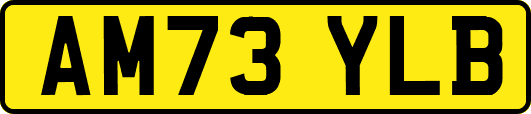 AM73YLB