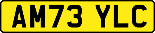 AM73YLC