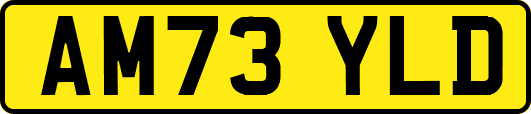 AM73YLD