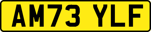 AM73YLF