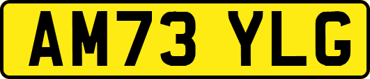 AM73YLG