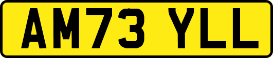 AM73YLL