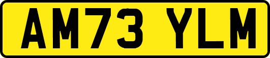 AM73YLM