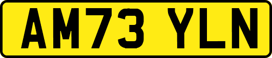 AM73YLN