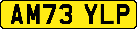 AM73YLP