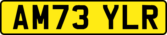 AM73YLR