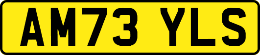 AM73YLS