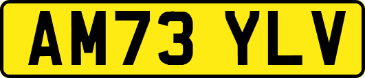 AM73YLV