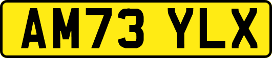 AM73YLX