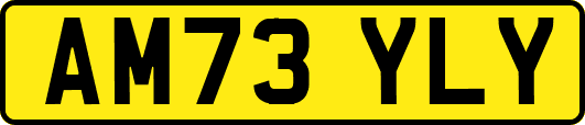 AM73YLY